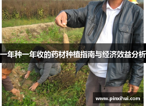 一年种一年收的药材种植指南与经济效益分析