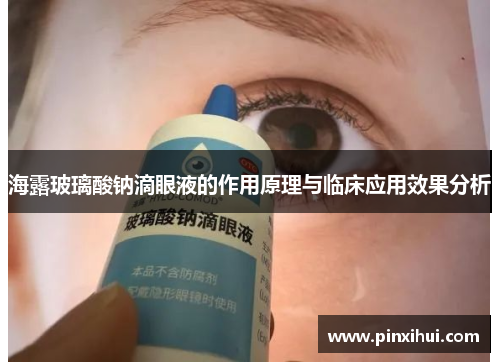 海露玻璃酸钠滴眼液的作用原理与临床应用效果分析