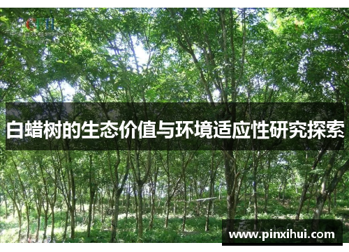 白蜡树的生态价值与环境适应性研究探索