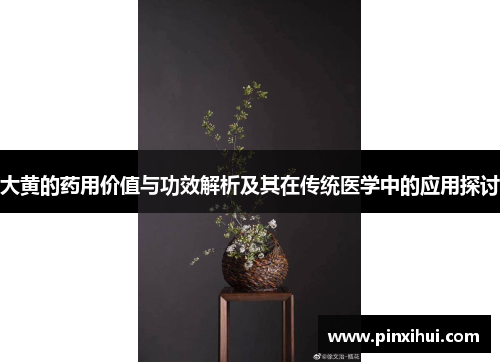 大黄的药用价值与功效解析及其在传统医学中的应用探讨
